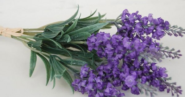 Lavender artificial deals